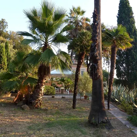 Villa Delle Palme - Goelba