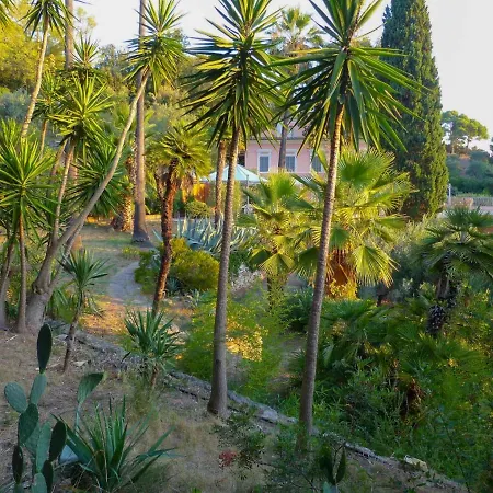 Delle Palme - Goelba Willa
